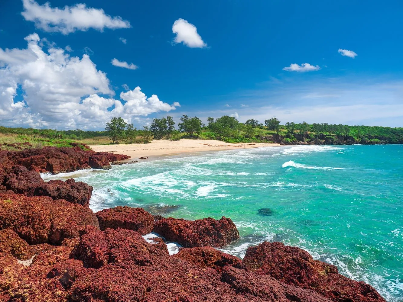 Macassan Beach, Credit Mark Fitzpatrick and Tourism Northern Territory
