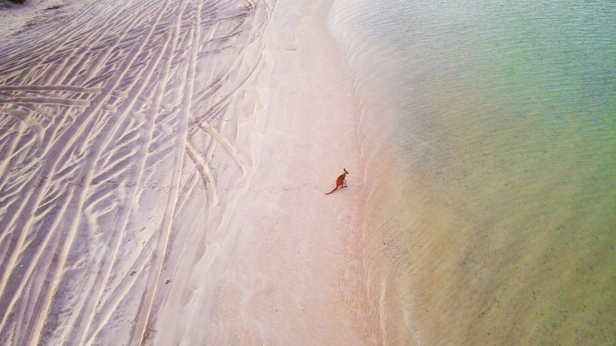 Urlaubstracker Zi6utJocA0I Unsplash
