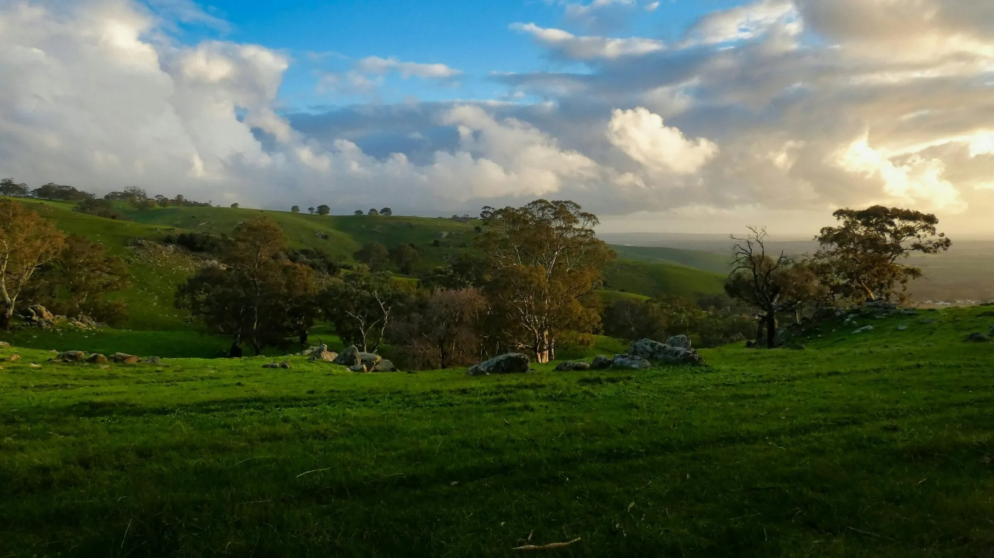 Mick Orlick E8WMbfDayIE Unsplash Barossa Landscapes