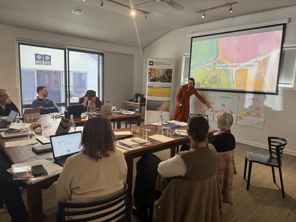 4CE183C4 F89D 4286 BB52 A85CF60DC405 1 105 C